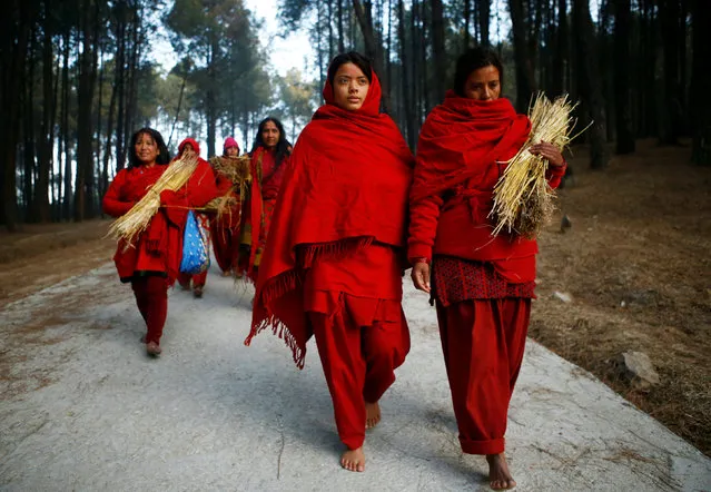 Devotees walk through the woods of Changu Narayan as they arrive to perform rituals and prayers during the Swasthani Bratakatha festival in Bhaktapur, Nepal February 8, 2017. (Photo by Navesh Chitrakar/Reuters)