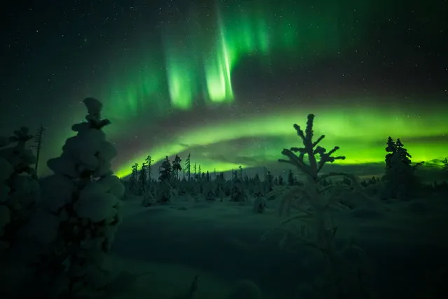 The Aurora Borealis (Northern Lights) is seen in the sky over Muonio in Lapland, Finland on January 18, 2021. (Photo by Alexander Kuznetsov/Reuters)