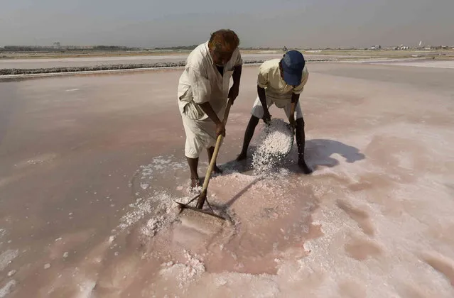 Laborers collect sea salt at a coastal area near Karachi, Pakistan, Saturday, November 13, 2021. (Photo by Fareed Khan/AP Photo)