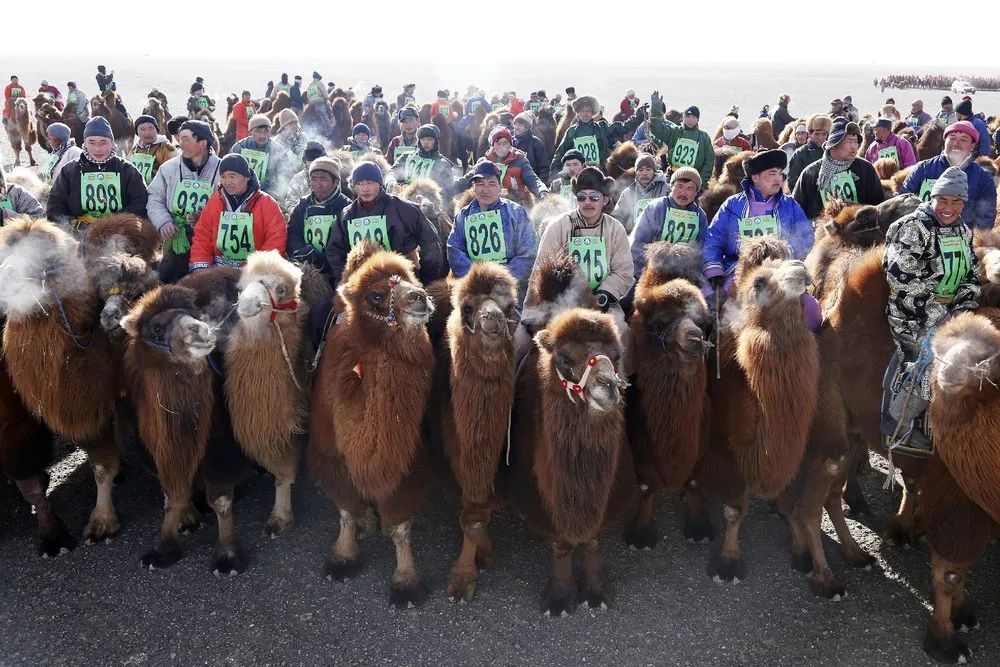 Mongolia's Camel Festival