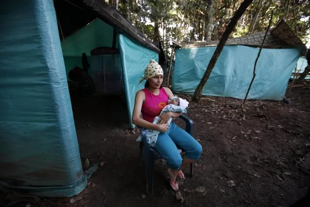 In this Tuesday, February 28, 2017 photo, FARC rebel Marly Velasquez holds her 18-day-old-daughter Andry Talia during an interview outside her tent at a demobilization zone in La Carmelita in the Colombia's southwestern state of Putumayo. During times of war, constant confrontation with army soldiers and guard duties in jungle camps made raising children during the conflict difficult, if not impossible. Women were given steady supplies of contraceptives, and those who did get pregnant were presented with two options: leave the baby with the family members or end the pregnancy. (Photo by Fernando Vergara/AP Photo)