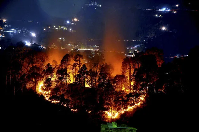 In this photo taken Monday, May 2, 2016, a forest is seen on fire near the northern hill town of Shimla in Indian state of Himachal Pradesh. Massive wildfires in recent weeks were burning through pine forests in the mountains of northern India on Monday, including parts of two tiger reserves. (Photo by Press Trust of India via AP Photo)