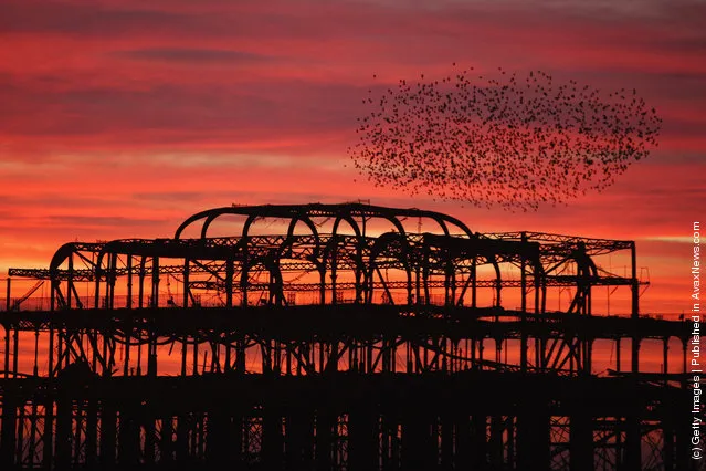 Starlings come home to roost on Brighton's Old Pier as the sun sets in Brighton, England