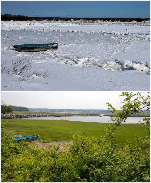 A combination picture shows a boat sitting on a salt marsh covered with snow and ice near Wingaersheek Beach in Gloucester, Massachusetts, United States February 20, 2015 (top), and the same boat near the Beach June 11, 2015. (Photo by Brian Snyder/Reuters)