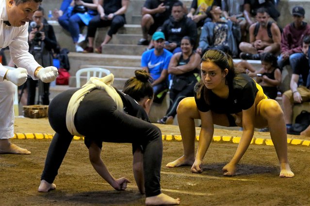 Brazilian sumo wrestler Diana Dall'Olio (R) competes during a Brazilian sumo championship bout, a qualifier for the South American championship, in Sao Paulo, Brazil, on March 12, 2023. - Brazilian women who practice sumo as amateurs want to spread this form of “dynamic, strategic, fast, and exciting wrestling” that originally came from Japan. (Photo by Miguel Schincariol/AFP Photo)