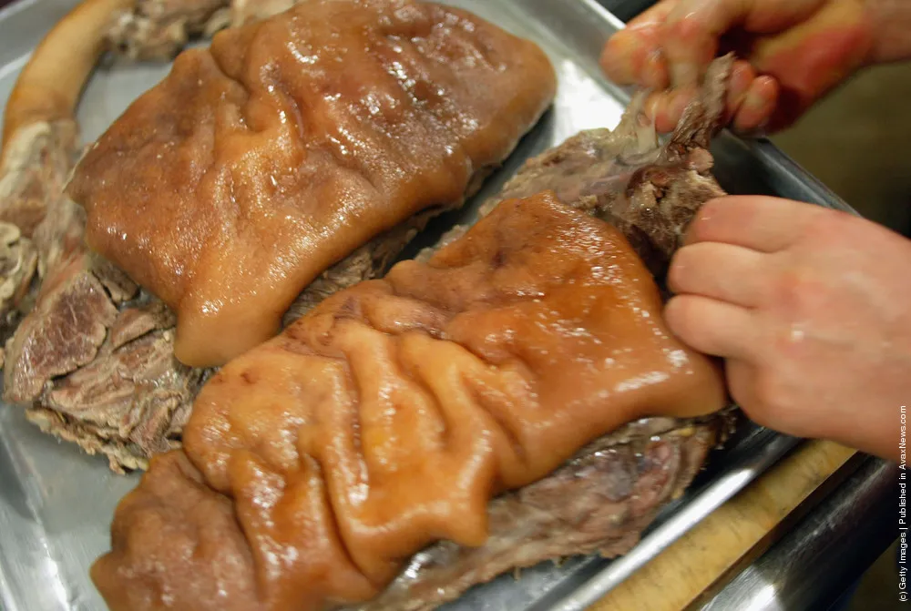 Restaurant Serves Up Dog Meat in South Korea