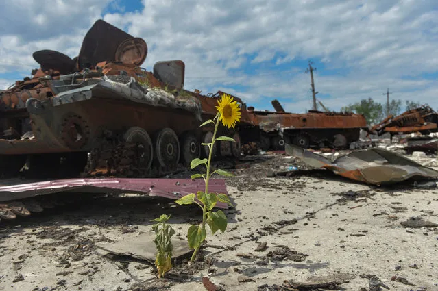 Destroyed Russian military vehicles are seen at a compound of an agricultural farm, which was used by Russian troops as a military base during Russia's attack on Ukraine, in Kharkiv Region, Ukraine on July 17, 2022. (Photo by Sofiia Gatilova/Reuters)