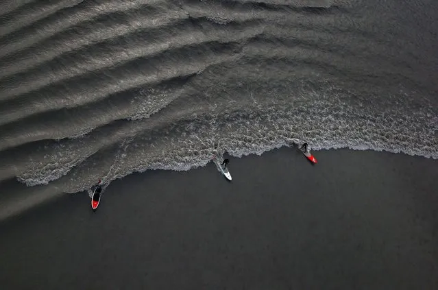 A group of surfers ride the Bore Tide at Turnagain Arm on July 15, 2014 in Anchorage, Alaska. Alaskas most famous Bore Tide, occurs in a spot on the outside of Anchorage in the lower arm of the Cook Inlet, Turnagain Arm, where wave heights can reach 6-10 feet tall, move at 10-15 mph and the water temperature stays around 40 degrees farenheit. This years Supermoon substantially increased the size of the normal wave and made it a destination for surfers. (Photo by Streeter Lecka/Getty Images)