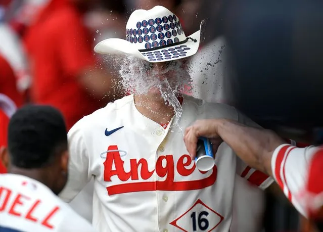 Mickey Moniak #16 of the Los Angeles Angels is congratulated for his home run with a cowboy hat and cup of water to the face in the ninth inning against the Oakland Athletics at Angel Stadium of Anaheim on August 4, 2022 in Anaheim, California. (Photo by John McCoy/Getty Images)