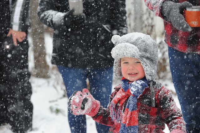 Otto Grimaldi braves heavy lake effect snow to take in the annual Hamburg Holiday Parade on November 30, 2024 in Hamburg, New York. The Northeast storm that closed a 90 mile stretch of The New York State Thruway and snarled holiday traffic across the country dumped more than four feet of snow around Buffalo and its southern suburbs and is expected to continue throughout the weekend.  (Photo by John Normile/Getty Images)