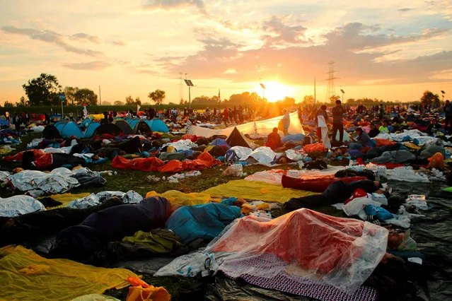 Pilgrims sleep as sun rises at the Campus Misericordiae during World Youth Day in Brzegi near Krakow, Poland July 31, 2016. (Photo by Mateusz Skwarczek/Reuters/Agencja Gazeta)