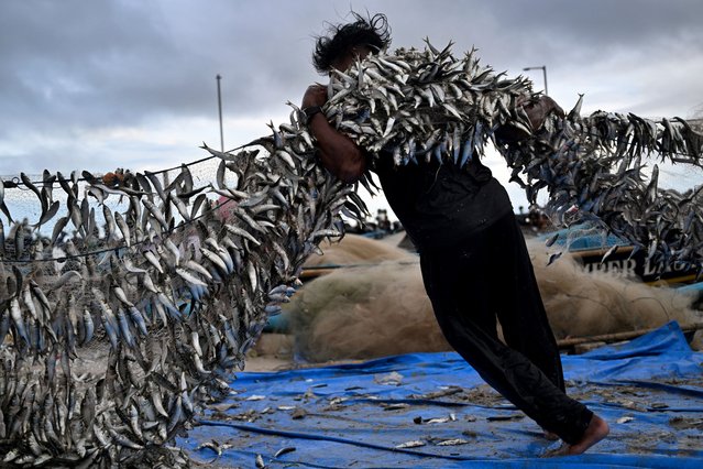 Fishermen unload their catch from a traditional boat at Kedonganan beach, Badung regency on the resort island of Bali on January 12, 2025. (Photo by Sonny Tumbelaka/AFP Photo)