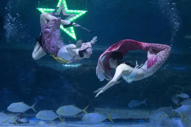 South Korean divers wearing a “Hanbok”, a Korean traditional costume (L), and little mermaid costume (R), perform in a tank ahead of the “Chuseok” national holiday, at the Coex Aquarium in Seoul, South Korea, 26 August 2022. (Photo by Jeon Heon-Kyun/EPA/EFE)
