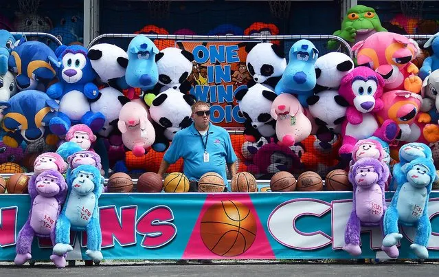 A fair worker is surrounded by stuffed animals, as he waits for the next person to play at his game stand on Friday, August 5, 2016, during the 154th annual Wayne County Fair in Honesdale, Pa. (Photo by Butch Comegys/The Times & Tribune via AP Photo)