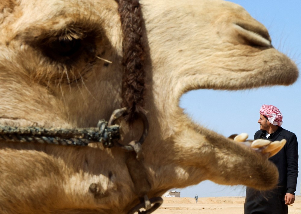 A Look at Life in Egypt