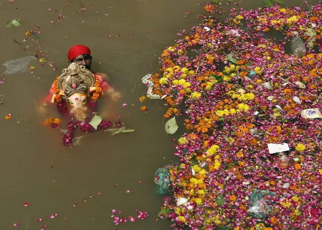 A man holds an idol of the Hindu god Ganesh, the deity of prosperity, in a temporary pond after its immersion during the ten-day-long Ganesh Chaturthi festival in Ahmedabad, India, September 22, 2015. (Photo by Amit Dave/Reuters)