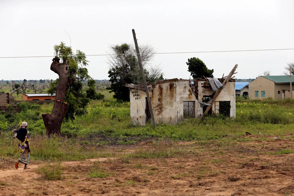 A Look at Life in Nigerian Borno State