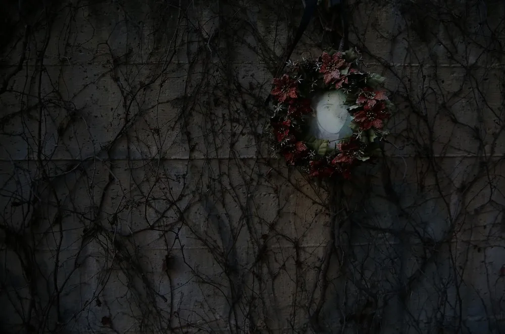 Reuters Pictures of the Year 2014, Part 1