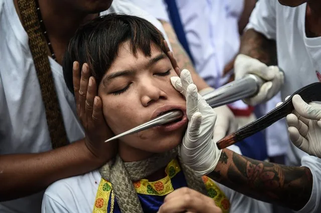 A young devotee of the Nine Emperor Gods has a large needle pushed through his cheek during the annual Phuket Vegetarian Festival in the southern province of Phuket on October 1, 2016. (Photo by Lillian Suwanrumpha/AFP Photo)