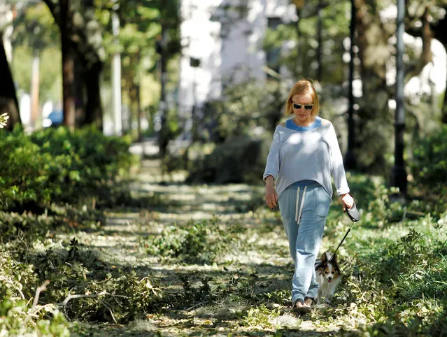 Bobbie Kraft negotiates her way through debris in Nathaniel Green Park with her dog Phoebe following Hurricane Matthew, after the storm passed through in Savannah, Georgia October 9, 2016. (Photo by Tami Chappell/Reuters)