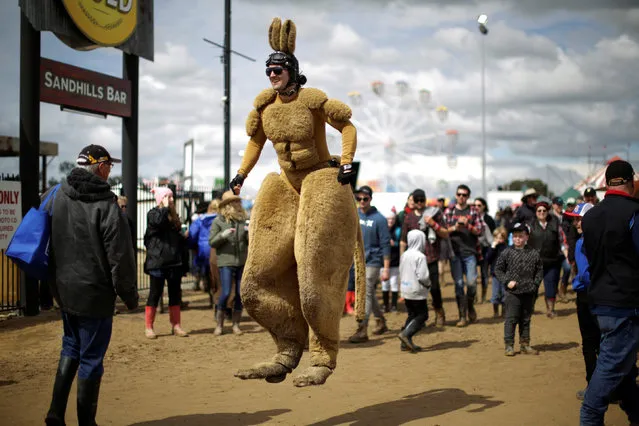 A man dressed as a kangaroo bounces down the main thoroughfare at the Deni Ute Muster in Deniliquin, New South Wales, September 30, 2016. (Photo by Jason Reed/Reuters)