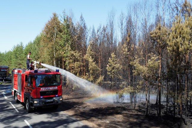 Firefighters work to extinguish a wildfire during a heatwave, nearby the village of Kleinbahren, Germany on July 2, 2025. (Photo by Fabrizio Bensch/Reuters)