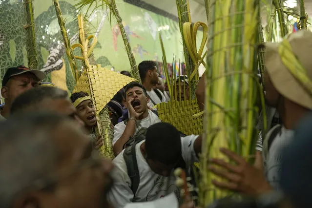 Members of the Palmeros de Chacao brotherhood, chant and sing, as they arrive with palm branches after descending the Cerro el Avila, in Caracas, Venezuela, Saturday, April 1, 2023. Every year the brothers climb the Cerro El Avila to collect the royal palm branches as part of a 250-year tradition that marks the start of Holy Week. The palms will be blessed at the Palm Sunday Mass in the Chacao church. (Photo by Matias Delacroix/AP Photo)