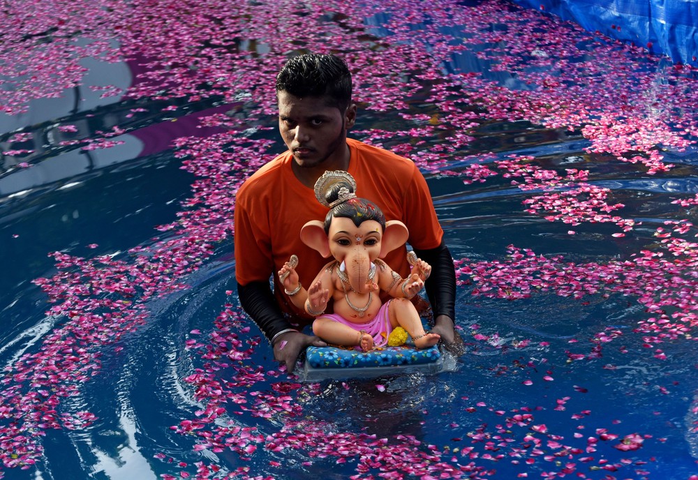 Pictures of the Year 2024, Part 180/240