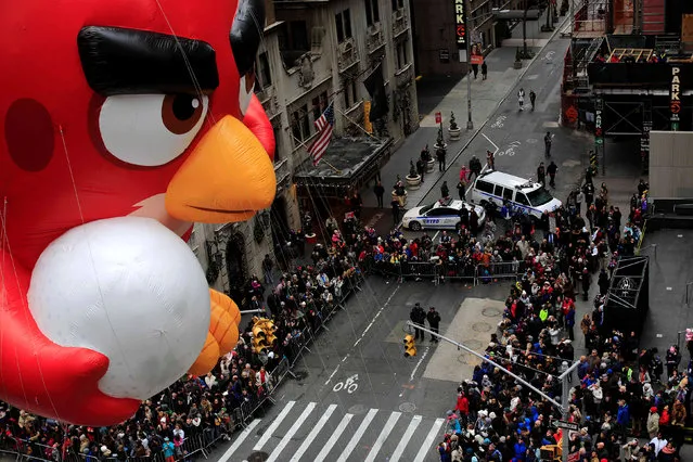 An Angry Bird float makes its way down 6th Avenue during the 90th Macy's Thanksgiving Day Parade in the Manhattan borough of New York, U.S. November 24, 2016. (Photo by Saul Martinez/Reuters)