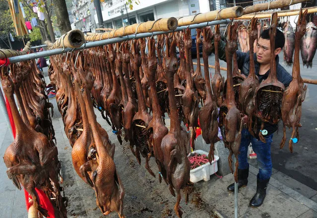 A vendor arranges salted dried ducks in Hangzhou, Zhejiang province, December 6, 2016. (Photo by Reuters/Stringer)