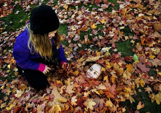 Two girls play among autumn leaves in Stockholm, October 13, 2013. (Photo by Jessica Gow/TT News Agency)