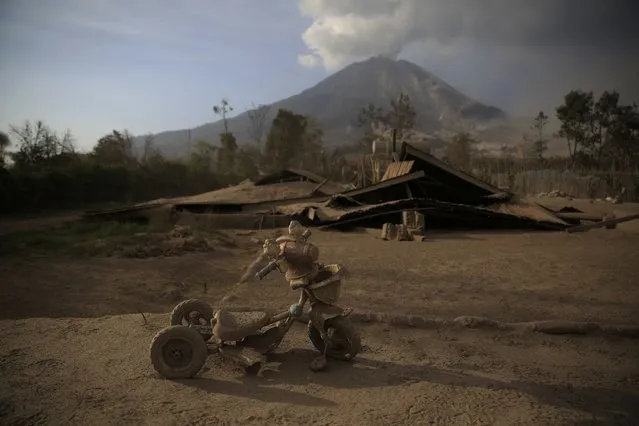 A child's tricycle sits in front of a collapsed house hit by ash from the Mount Sinabung eruption at Sibintun village in Karo district, North Sumatra province February 4, 2014. Indonesia's Mount Sinabung volcano erupted and killed at least 11 people on the western island of Sumatra on Saturday, the first time it is known to have claimed any lives, a senior government official said. (Photo by Reuters/Beawiharta)