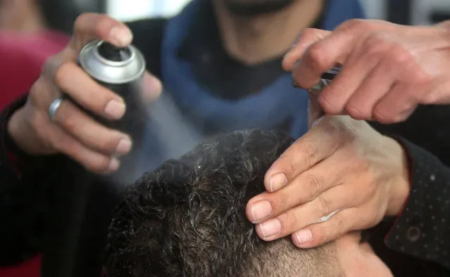 Palestinian barber Ramadan Odwan sprays the hair of a customer as he prepares to style and straighten it with fire at his salon in Rafah, in the southern Gaza Strip February 5, 2017. (Photo by Ibraheem Abu Mustafa/Reuters)