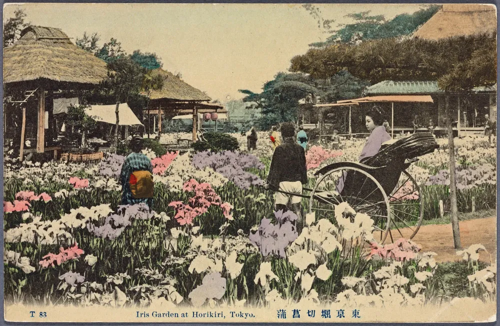 Hand-colored Postcards from Japan