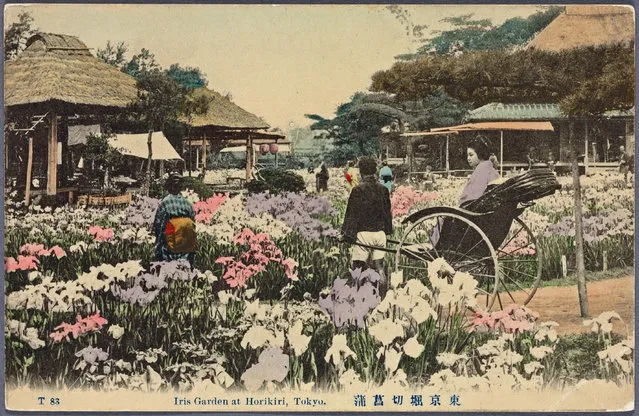 These timeless postcards offer an eye-opening glimpse into life in Japan in the early 20th century. Taken from hand-colored photographs, the postcards showcase the still beauty of the country, depicting a nation on the cusp of modernization. The images feature solemn fishermen, bustling streets, temples and shrines: a country yet to be influenced by Western culture. (Photo by New York Public Library/Caters News)