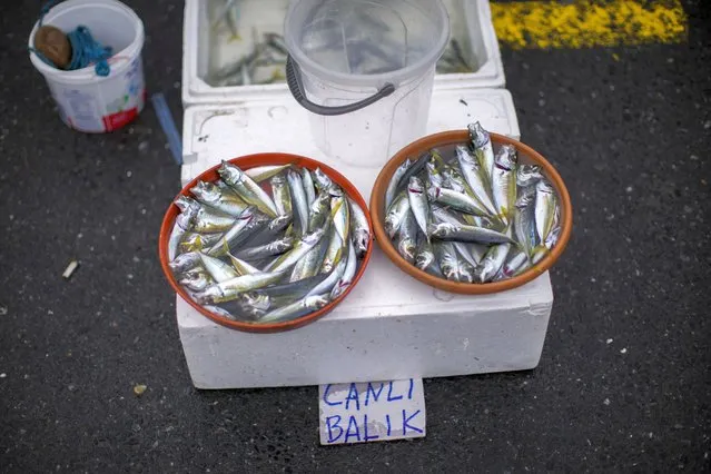 Containers of fish with a note that reads in Turkish,  “Fresh fish” are displayed for sale to passers-by, at the Galata bridge in Istanbul, Turkey, Monday, December 20, 2021. The beleaguered Turkish currency reached another record low against the dollar on Monday, a day after President Recep Tayyip Erdogan stood firm on his policy to lower interest rate despite rising consumer prices and slammed business groups who called for a change of course. (Photo by Francisco Seco/AP Photo)