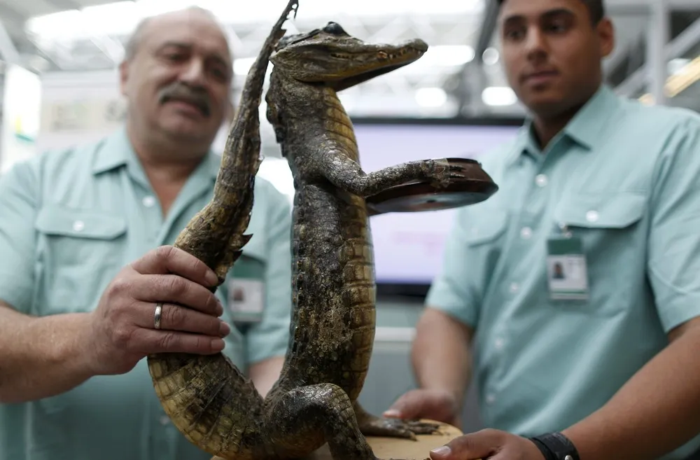 The Day in Photos – June 26, 2015