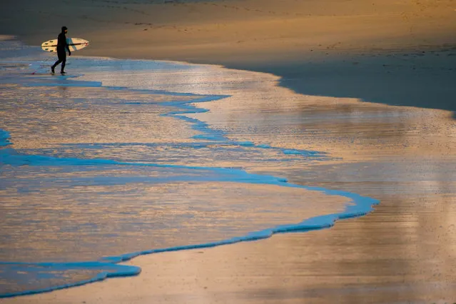 A surfer walks along the shore in Unstad along the northern Atlantic Ocean on March 12, 2017, where the water temperatures is at five degrees centigrade and the air temperature is at minus two degrees centigrade. (Photo by Olivier Morin/AFP Photo)