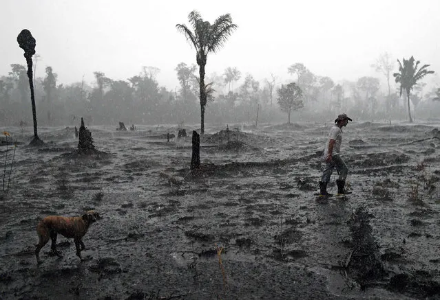 Brazilian farmer Helio Lombardo Do Santos and a dog walk through a burnt area of the Amazon rainforest, near Porto Velho, Rondonia state, Brazil, on August 26, 2019. Hundreds of new fires have flared up in the Amazon in Brazil, data showed Monday, even as military aircraft dumped water over hard-hit areas and G7 nations pledged to help combat the blazes. Smoke choked Port Velho city and forced the closure of the airport for nearly two hours as fires raged in the northwestern state of Rondonia where fire-fighting efforts are concentrated, amid a growing global uproar and a diplomatic spat between France and Brazil. (Photo by Carl de Souza/AFP Photo)