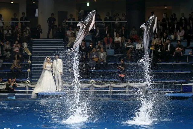 Dolphins jump out of the water in front of models dressed as a bridal couple at a media preview for the Epson Aqua Park Shinagawa aquarium's re-opening in Tokyo, July 6, 2015. (Photo by Toru Hanai/Reuters)