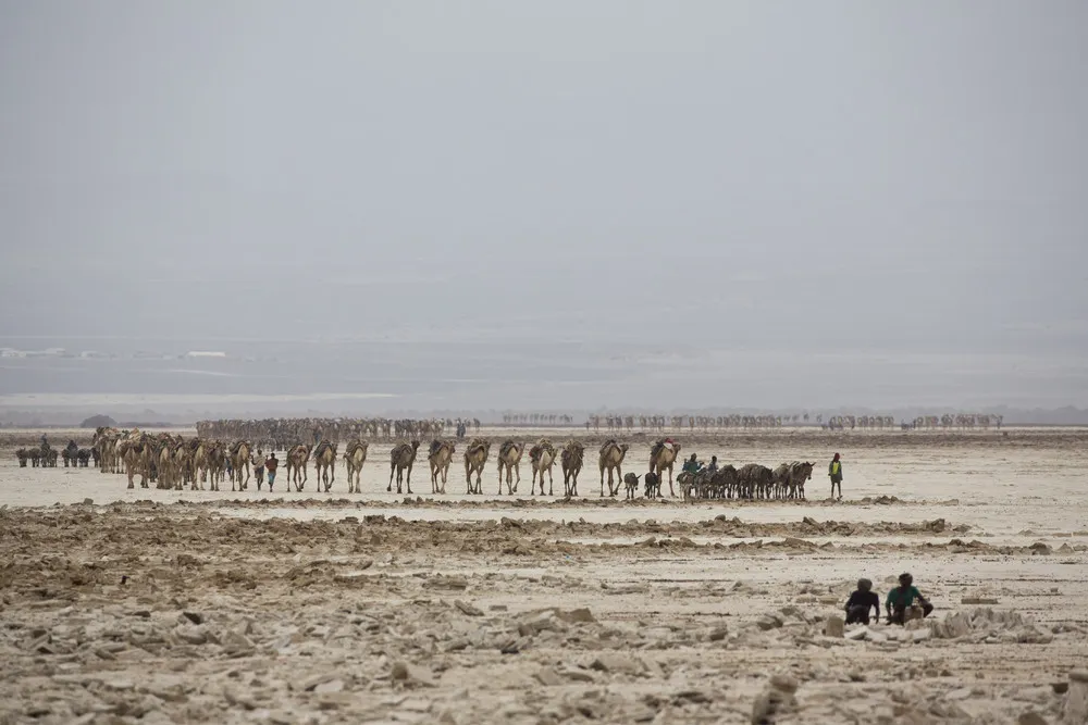 In the World’s Hottest Desert, Mining and Moving Salt