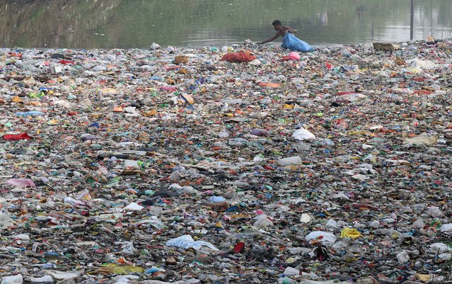 A man collects recyclable plastic and bottles from a canal filled with household garbage and plastic, during World Population Day in the outskirts of New Delhi, India, 11 July 2024. According to the World Economic Forum, India faces increasing sewage treatment challenges as its population grows, especially its public water infrastructure, with over 70% of sewage remaining untreated. Data from the United Nations Population Fund (UNFPA) shows that India’s population is estimated at 1,441 million, surpassing China as the world’s most populous nation. Observed annually on 11 July, World Population Day was established by the Governing Council of the United Nations Development Programme in 1989 to raise awareness of global population issues. On this day, the UN will release the World Population Prospects 2024 report, covering trends from 1950 to 2024, including growth rates, age structures, and components of population change. (Photo by Harish Tyagi/EPA/EFE)