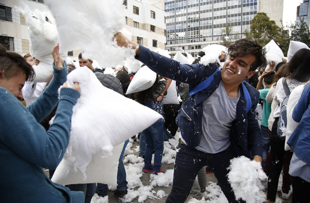University students participate in a pillow fight used as a symbolic act to indicate that this should be the only kind of war that occurs in the country, in Bogota, Colombia, Thursday, May 19, 2016. The peaceful event was led by former presidential candidate Antanas Mockus. (Photo by Fernando Vergara/AP Photo)