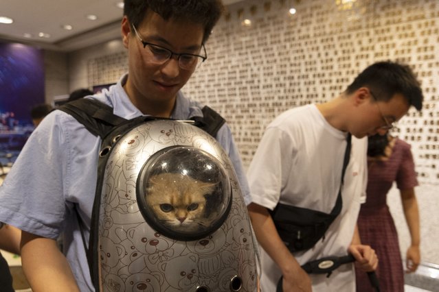 A man carries his cat in a case while attending cat night at the Shanghai Museum in Shanghai on July 27, 2024. Tickets sold out for Shanghai Museum's first 'cat night' at its ancient Egypt exhibition, which saw customers allowed to bring their pet cats to enjoy the show. (Photo by Agatha Cantrill/AFP Photo)