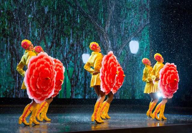 The Radio City Rockettes rehearsing their new show with colourful costumes by Dominican designer Emilio Sosa and a prominent role for young actress Jenna Ortega, of Mexican and Puerto Rican descent in New York, US on June 3, 2016. (Photo by Dan Niver/AP Photo)