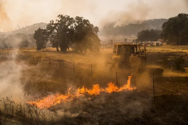 A bulldozer battles a spot fire at the Rocky Fire in Lake County, California July 30, 2015. (Photo by Max Whittaker/Reuters)