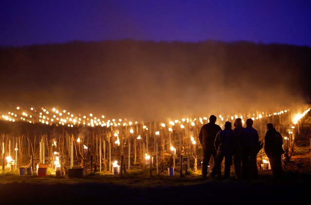Wine growers gather as heaters are lit early in the morning to protect vineyards from frost damage outside Chablis, France, April 3, 2022. (Photo by Stephane Mahe/Reuters)