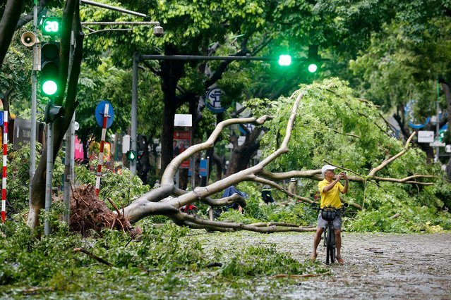 A cyclist records with a phone fallen trees after typhoon Yagi's landfall in Hanoi, Vietnam, 08 September 2024. Typhoon Yagi, Asia's most powerful storm so far this year, made landfall in northern Vietnam on 07 September, killing four people and injuring 78 others, according to state media. (Photo by Luong Thai Linh/EPA/EFE)