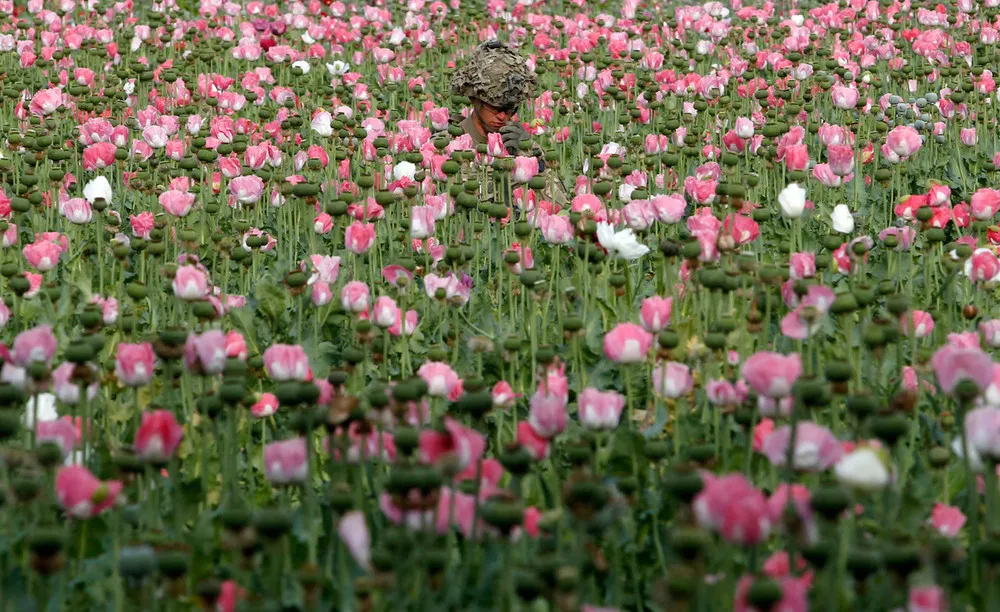 Global “War on Terror”: Operation Enduring Freedom – Afghanistan, April 2012