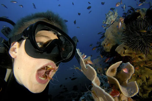 These unique photos capture the moment a boy has his teeth picked clean by amazing underwater shrimp. These fascinating creatures spend their lives diving inside the mouths of fish to remove the parasites that lurk there. (Photo by Tim Laman/Caters News)